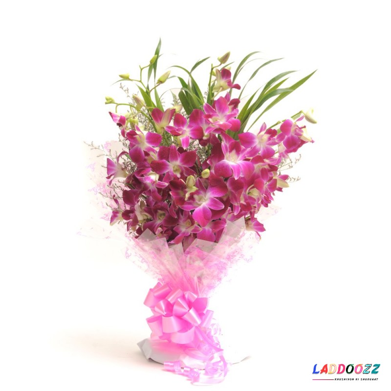 Bunch of 8 Purple Orchids in Cellophane Packing